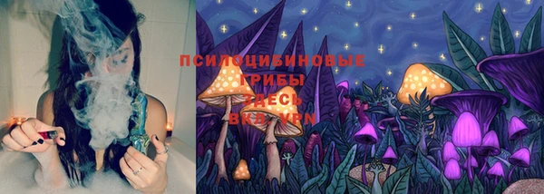 марихуана Заводоуковск