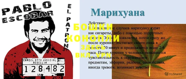 марихуана Заводоуковск